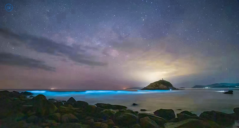 2021上川岛惊现荧光海，刷爆朋友圈