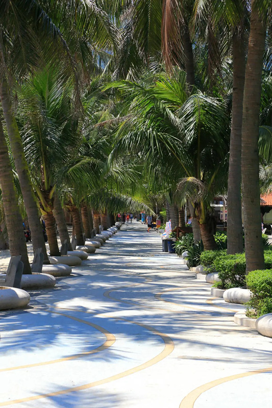 喜讯!川岛旅游度假区获评“省级旅游度假区”10